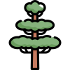 Tree icon