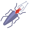 Insect icon