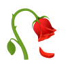 verwelkte Blume icon