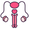 Reproductive System icon