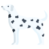 Dalmation icon