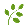 草本植物 icon