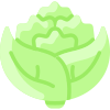 Romanesco Broccoli icon