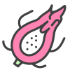 Pitaya icon