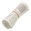 Rolled Up Newspaper icon