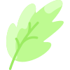 Oak Leaf icon