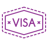 Въездная виза icon