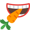 in eine Karotte beißen icon