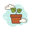 Planta en maceta icon