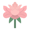 Peony icon