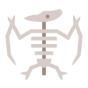 scheletro di pterodattilo icon