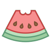 Scheibe Wassermelone icon