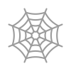 Spider Web icon