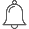 Ring icon