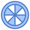 citrus food icon