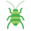 Aphid icon