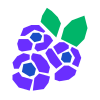 Blueberry icon