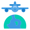 International Flight icon