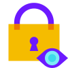 Private Lock icon