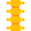 colonne vertébrale icon