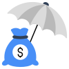 Financial Insurance icon