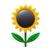 Sunflower icon