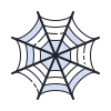 Spider web icon