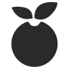 Apfel icon