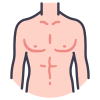 Anatomy icon