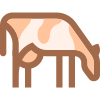 Raça de vaca icon