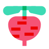 Beet icon