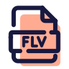 FLV icon