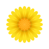 Blüte icon