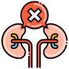 Kidney icon