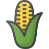 Corn icon