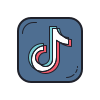 TikTok icon