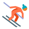 Alpine Skiing Skin Type 3 icon