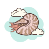 Nautilus icon