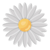 Flower icon