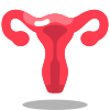 Uterus icon