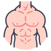 Anatomy icon