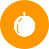 Fruit icon