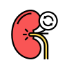 Kidney Transplant icon