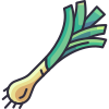 Leek icon