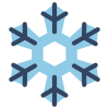 Winter icon