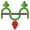 Grape Vine icon