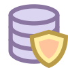 Data Protection icon