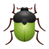 scarabée icon