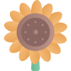 Sun Flower icon