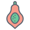 Papaya icon